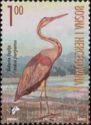 Purple Heron (Ardea purpurea)